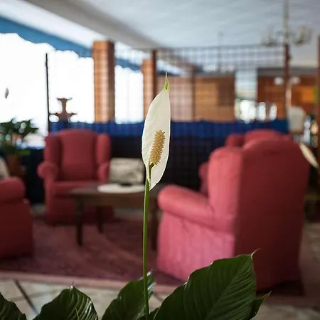 Ariston Hotel