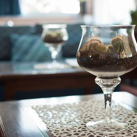 Hotel Ariston Imperia